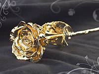St. Leonhard Echte Rose für ... Gelbgold veredelt, 28 cm