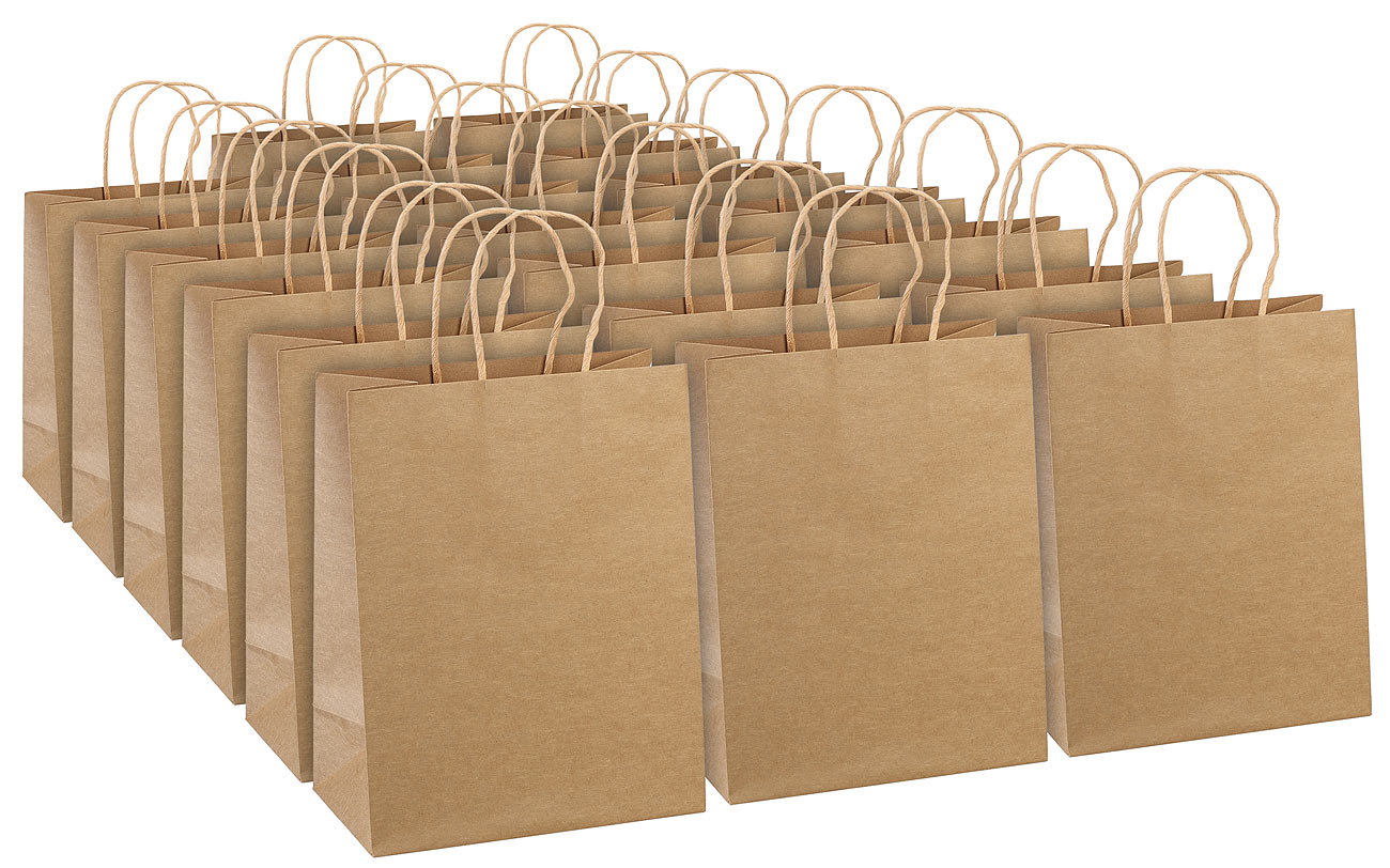 infactory sacchetto: Set di 20 sacchetti regalo in carta kraft con manico, 27 x 12 x 21 cm (borse di carta, borsa regalo, borsa di carta)