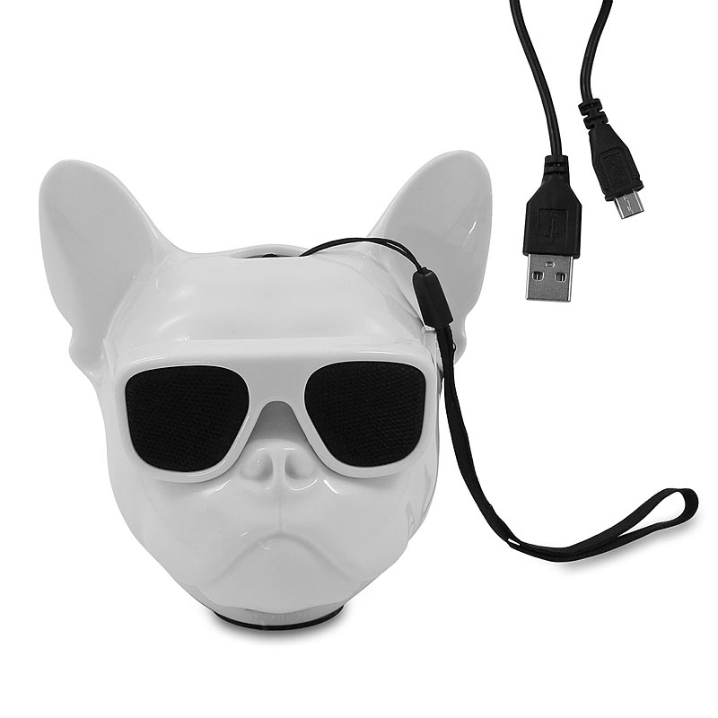 Bulldog Bluetooth 4.1 Lautsprecher, wireless für Android & IOS, Eaxus