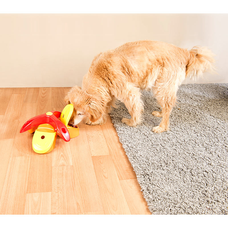 Sweetypet Strategie und IntelligenzSpiel für Hunde