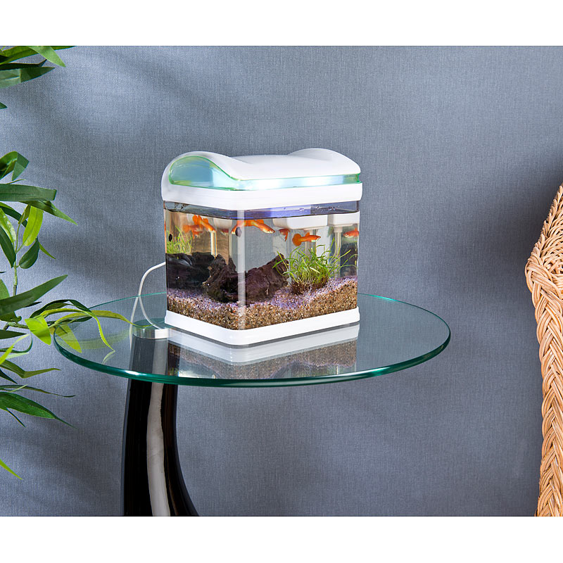 Aquarium TransportFischbecken mit Filter, LEDBeleuchtung und USB, 3